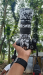 Dslr Camera canon 600d (with 75-300mm joom lens)
